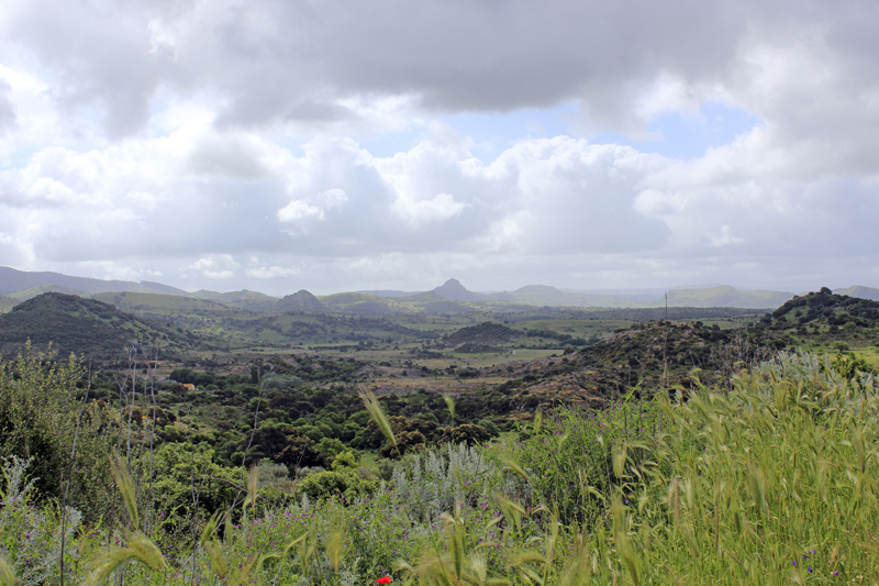 2016-05-01_110218 sardinien-2016.jpg - Fahrt von West nach Ost bers Hochland